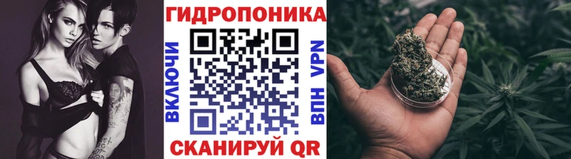 Как найти наркотики Асино ГАШИШ  Псилоцибиновые грибы  НБОМе  СК  Конопля  Кокаин  Меф 