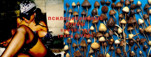 мяу мяу мука Приозерск