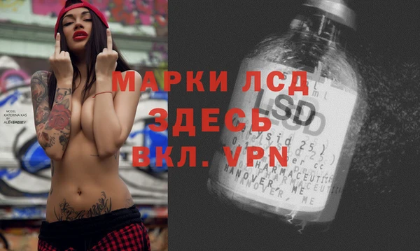мяу мяу мука Приозерск